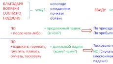 Особенности согласования в русском языке